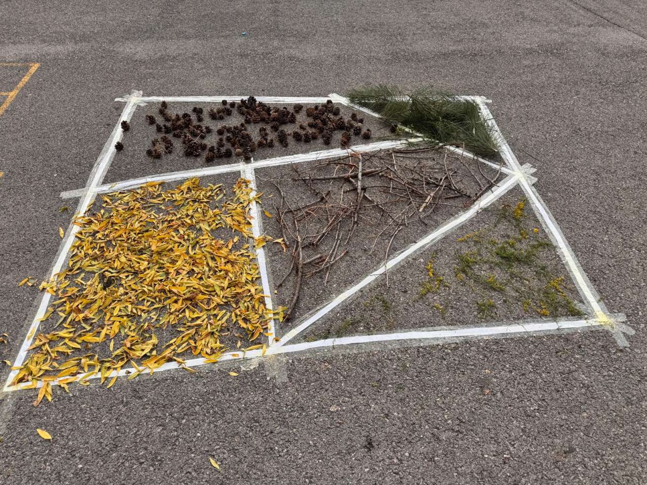 Konya’nın küçük ekoloji elçileri doğayı keşfediyor 1